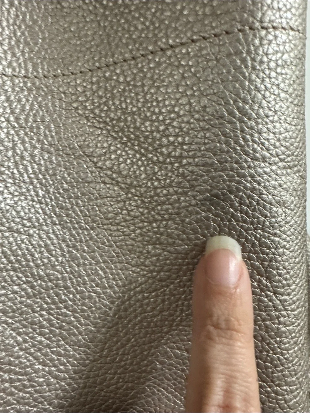 Coach Metallic Taupe Pebbled Leather Hobo